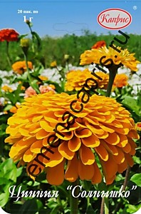 Цинния Солнышко Каприс 20 пакетов по 1 гр.