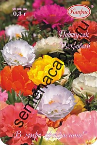 Портулак Княжеский коврик, смесь Каприс (Германия) 20 пакетов по 0,3 гр.