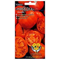 Томат Наседка Мязина