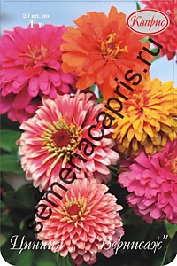 Цинния Вернисаж смесь Каприс 20 пакетов по 1 гр.