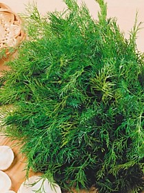 Укроп Супердукат Каприс 20 пакетов по 2 гр.