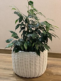 Кашпо Ротанг 12 литров белый