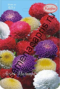 Астра Смесь Помпонная Палитра Каприс 20 пакетов по 0,5 гр.