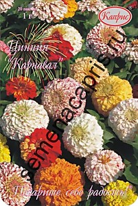 Цинния Карнавал Смесь Каприс 20 пакетов по 1 гр.