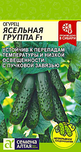 Огурец Ясельная Группа  F1 5 шт. Семена Алтая