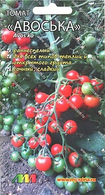 Томат Авоська Мязина