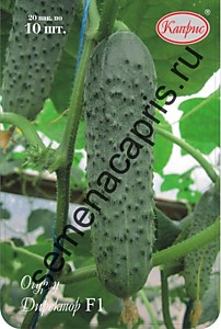 Огурец Директор F1 Каприс (Нидерланды) 20 пакетов по 10 шт.