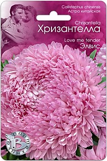 Астра китайская Хризантелла Элвис Биотехника