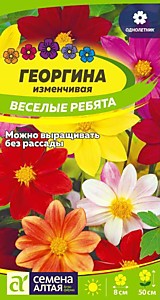 Георгина Веселые Ребята Семена Алтая 0,2 гр.
