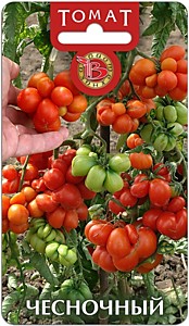 Томат Чесночный Биотехника