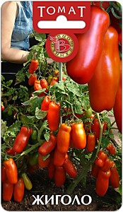 Томат Жиголо Биотехника