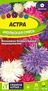 Астра Июльская Смесь окрасок  0,2 гр. Семена Алтая