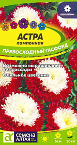 Астра Превосходный Гасфорд помпонная 0,2 гр. Семена Алтая