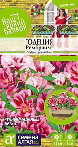 Годеция Рембрандт 0,2 гр. Семена Алтая Ваш яркий балкон