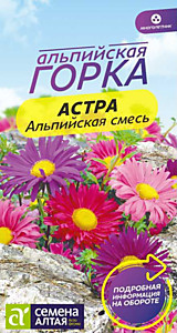 Астра Альпийская смесь 0,05 гр. Семена Алтая многолетник Альпийская горка