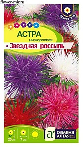 Астра Звездная Россыпь Семена Алтая