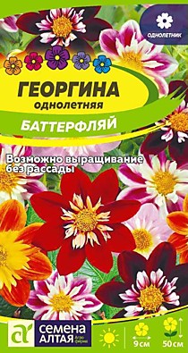 Георгина Баттерфляй Семена Алтая