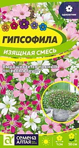 Гипсофила Изящная Смесь 0,2 гр. Семена Алтая