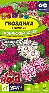 Гвоздика Турецкая Индийский Ковер двулетник Семена Алтая 