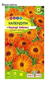 Календула Поцелуй бабочки махровая Семена Алтая
