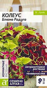 Колеус Блюме Радуга смесь Семена Алтая