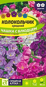 Колокольчик Чашка с Блюдцем 0,1 гр. двулетник Семена Алтая