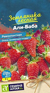 Земляника Али-Баба ремонтантная Семена Алтая