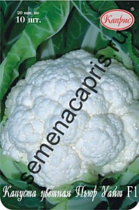 Капуста Цветная Пьюр Уайт F1 Каприс (Франция) 20 шт. по 10 шт. 