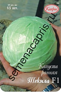 Капуста Текила F1 Каприс (Сингента) 20 шт. по 15 шт.
