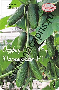 Огурец Пасамонте F1 Каприс (Сингента) 20 шт. по 10 шт.