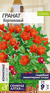 Гранат Карликовый Семена Алтая 5 шт.