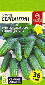 Огурец Серпантин Семена Алтая 0,5 гр. Сибирская Селекция!