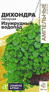 Дихондра Изумрудный Водопад 3 шт. Семена Алтая Ампельные шедевры
