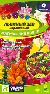 Львиный зев Магический Ковер 0,2 гр. Семена Алтая