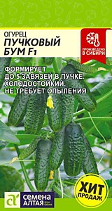 Огурец Пучковый Бум F1 5 шт. Семена Алтая