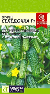 Огурец Селедочка F1 5 шт. Семена Алтая