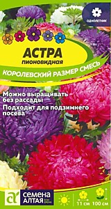 Астра Королевский размер Смесь Семена Алтая