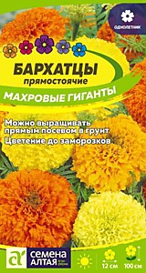 Бархатцы Махровые Гиганты Семена Алтая