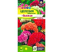 Целозия Высокая смесь гребенчатая Семена Алтая