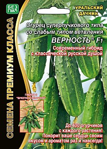 Огурец Верность F1 Уральский Дачник