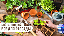 Товары для рассады