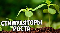 Стимуляторы роста и корнеобразования