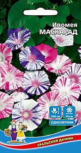 Ипомея Маскарад Уральский Дачник
