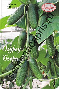 Огурец Бьерн F1 Каприс (Нидерланды) 20 пакетов по 10 шт.