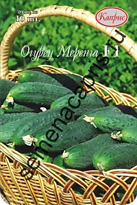 Огурец Меренга F1 Каприс (Нидерланды) 20 пакетов по 10 шт.