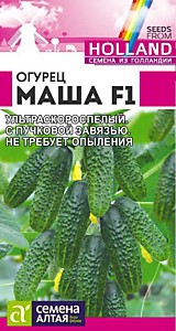 Огурец Маша F1 5 шт. Seminis (Голландские Семена) Семена Алтая