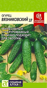 Огурец Вязниковский 37 0,5 гр. Семена Алтая