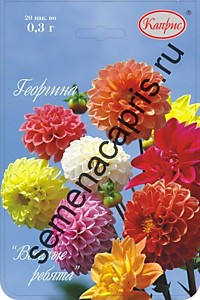 Георгина Веселые ребята Каприс 20 шт. по 0,3 гр. 