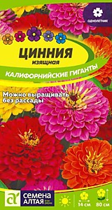 Цинния Калифорнийские гиганты семена Алтая