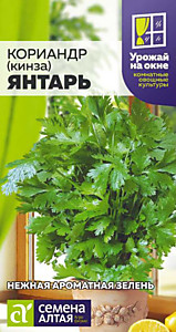 Кориандр Янтарь 2 гр. УРОЖАЙ НА ОКНЕ! Семена Алтая